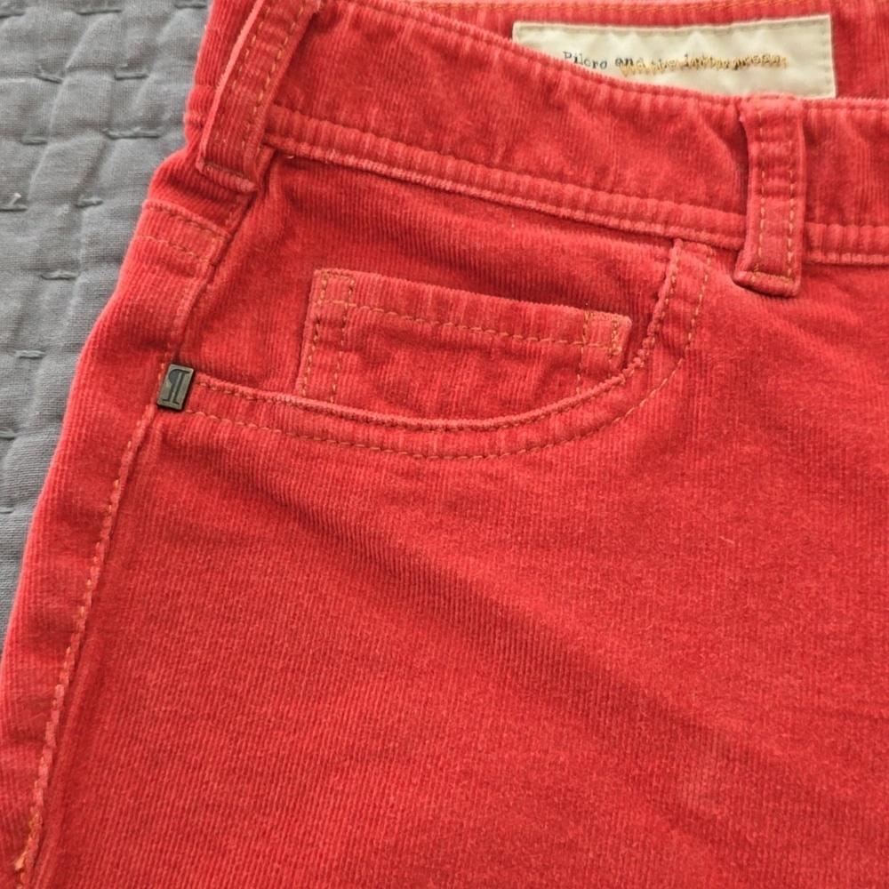 Pilcro And The Letterpress Rust Serif Skinny Corduroy Pants - Picture 6 of 15